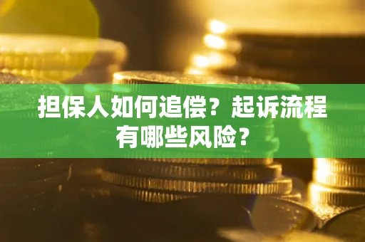 北京担保人如何追偿？起诉流程有哪些风险？