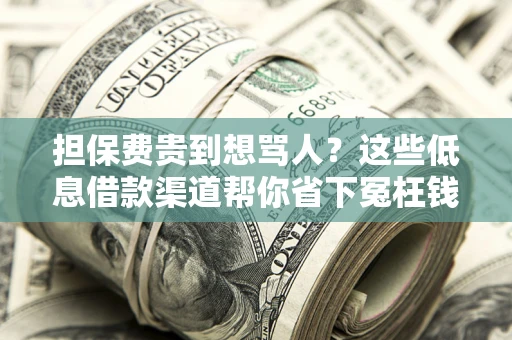 北京担保费贵到想骂人？这些低息借款渠道帮你省下冤枉钱