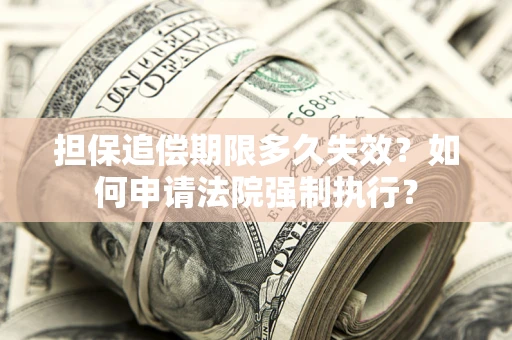 北京担保追偿期限多久失效？如何申请法院强制执行？