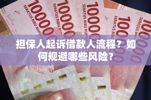 北京担保人起诉借款人流程？如何规避哪些风险？