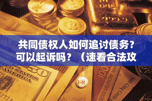 北京共同债权人如何追讨债务？可以起诉吗？（速看合法攻略）