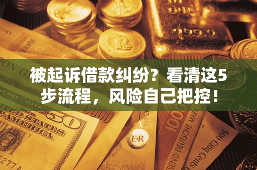 北京被起诉借款纠纷？看清这5步流程，风险自己把控！